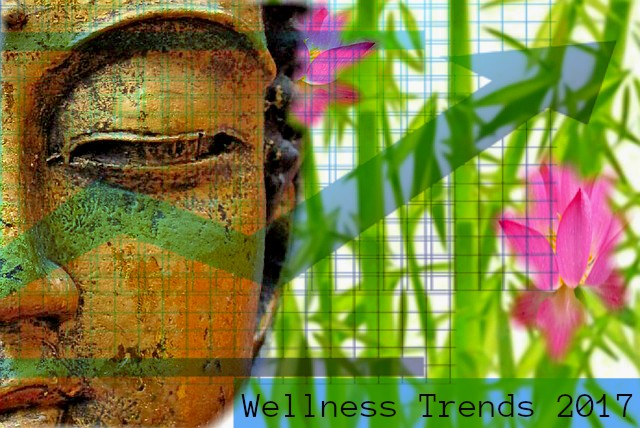 holistic health wellness trends