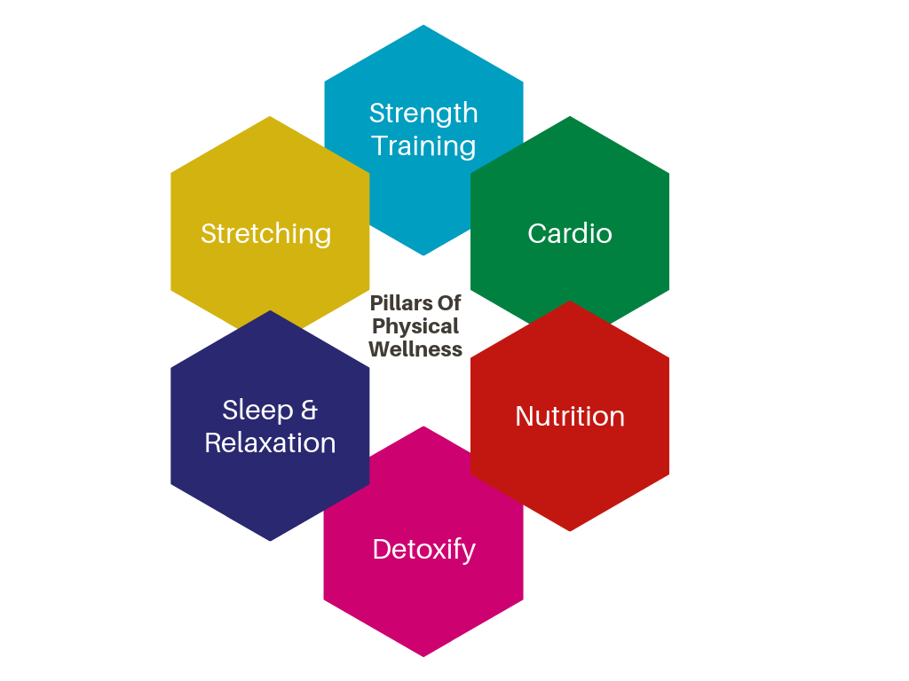 aspects of physical wellness pie chart
