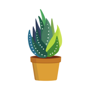 potted aloe vera plant icon